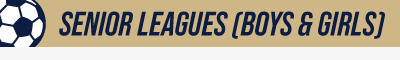 SrLeagues